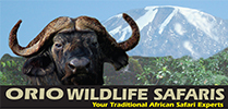 Orio Wild Life Safaris