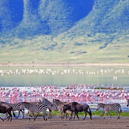 7 Nights / 8 Days Ngorongoro / Serengeti